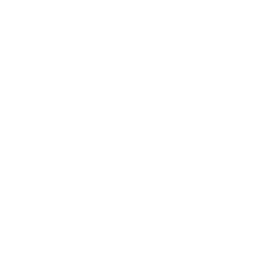 logo1
